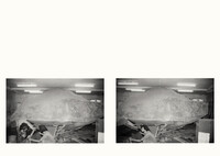 https://www.adrianehrat.com/files/gimgs/th-12_12_wartesaallfcbooklet-13.jpg