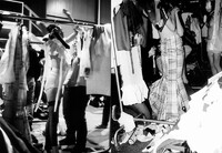 https://www.adrianehrat.com/files/gimgs/th-17_17_gwandbackstage-016.jpg
